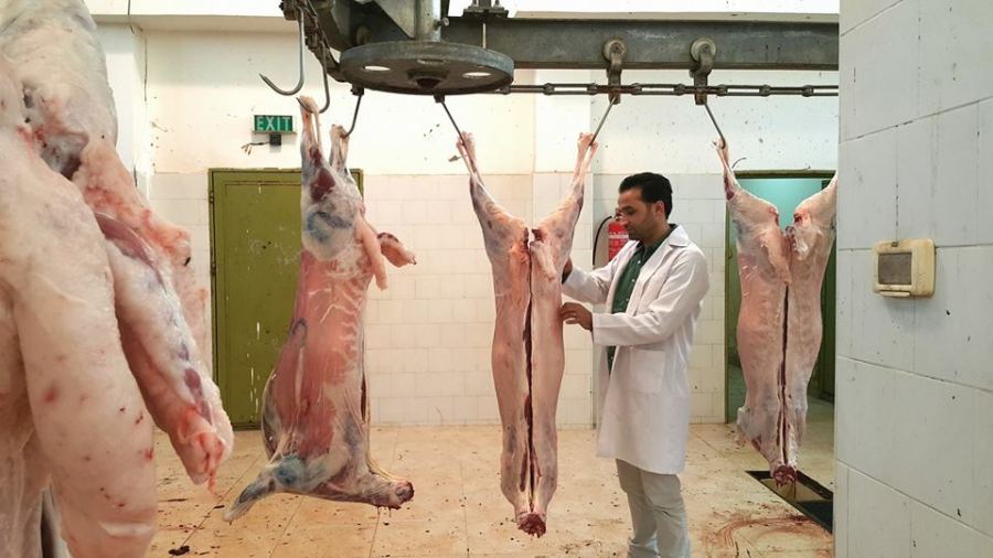 رمضان يهيب بادارة المسلخ واصحاب الملاحم المحافظة على السلامة العامة 